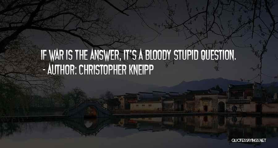 Christopher Kneipp Quotes: If War Is The Answer, It's A Bloody Stupid Question.