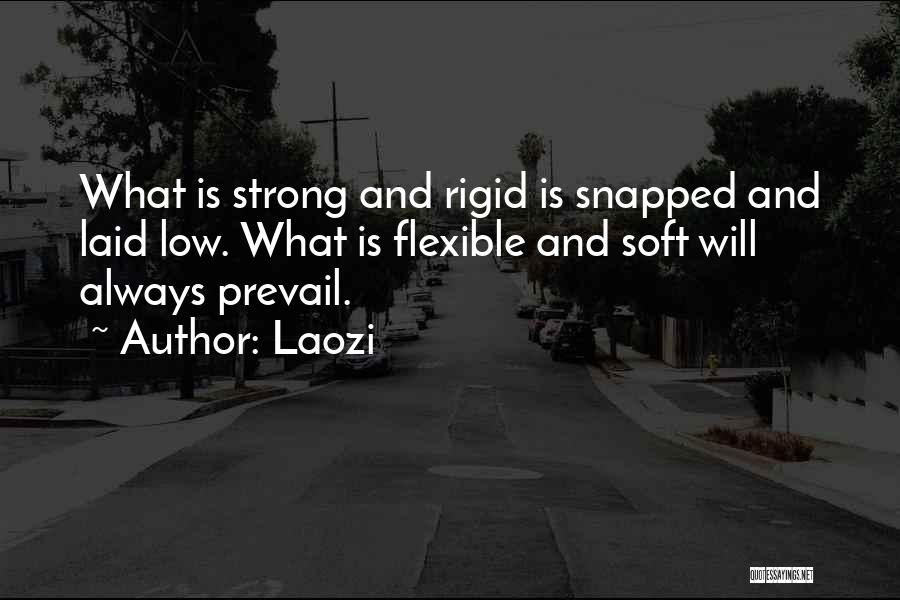 Laozi Quotes: What Is Strong And Rigid Is Snapped And Laid Low. What Is Flexible And Soft Will Always Prevail.