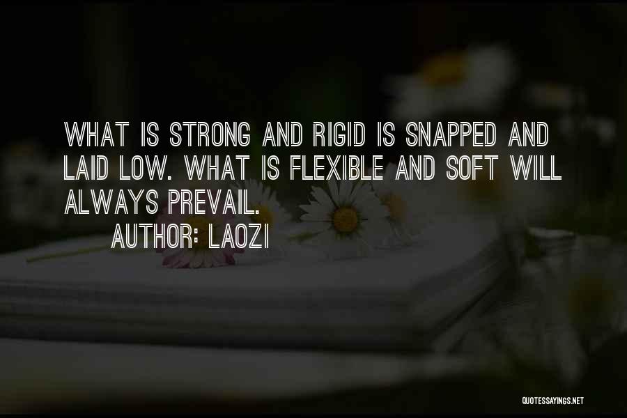 Laozi Quotes: What Is Strong And Rigid Is Snapped And Laid Low. What Is Flexible And Soft Will Always Prevail.