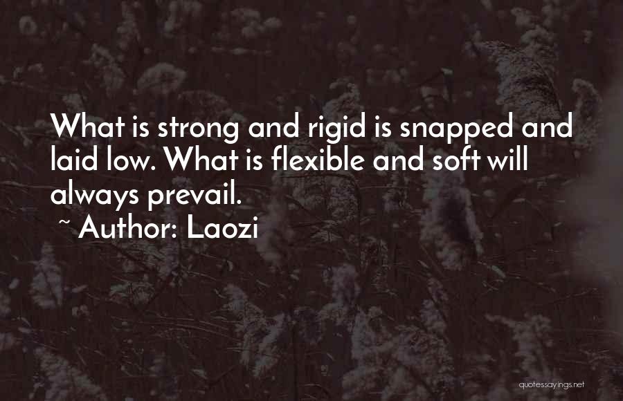 Laozi Quotes: What Is Strong And Rigid Is Snapped And Laid Low. What Is Flexible And Soft Will Always Prevail.