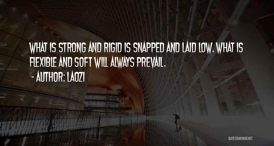 Laozi Quotes: What Is Strong And Rigid Is Snapped And Laid Low. What Is Flexible And Soft Will Always Prevail.