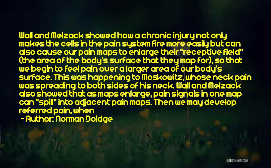 Norman Doidge Quotes: Wall And Melzack Showed How A Chronic Injury Not Only Makes The Cells In The Pain System Fire More Easily