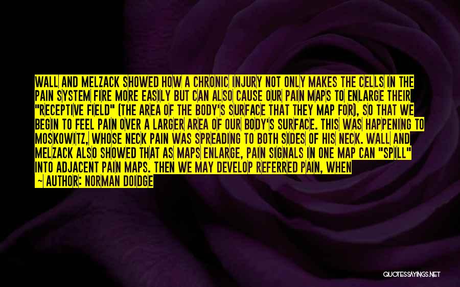 Norman Doidge Quotes: Wall And Melzack Showed How A Chronic Injury Not Only Makes The Cells In The Pain System Fire More Easily