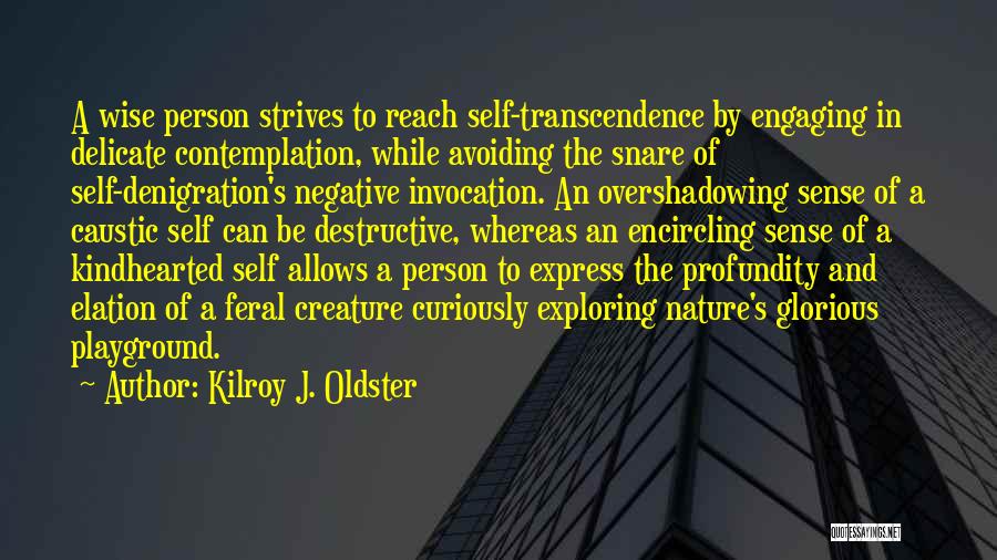 Kilroy J. Oldster Quotes: A Wise Person Strives To Reach Self-transcendence By Engaging In Delicate Contemplation, While Avoiding The Snare Of Self-denigration's Negative Invocation.