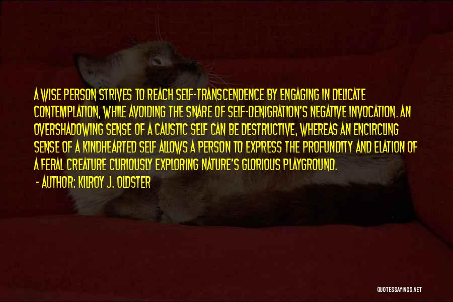 Kilroy J. Oldster Quotes: A Wise Person Strives To Reach Self-transcendence By Engaging In Delicate Contemplation, While Avoiding The Snare Of Self-denigration's Negative Invocation.