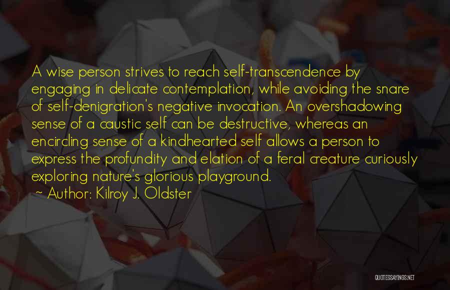 Kilroy J. Oldster Quotes: A Wise Person Strives To Reach Self-transcendence By Engaging In Delicate Contemplation, While Avoiding The Snare Of Self-denigration's Negative Invocation.