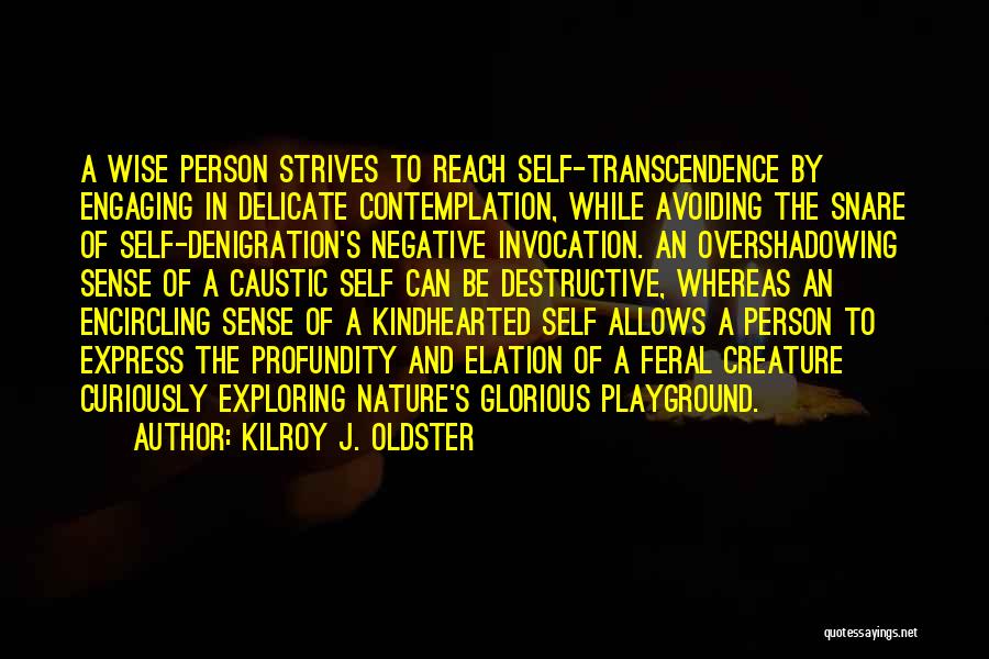 Kilroy J. Oldster Quotes: A Wise Person Strives To Reach Self-transcendence By Engaging In Delicate Contemplation, While Avoiding The Snare Of Self-denigration's Negative Invocation.