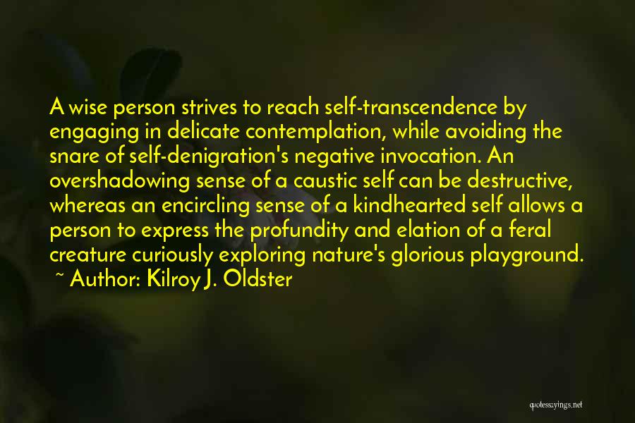 Kilroy J. Oldster Quotes: A Wise Person Strives To Reach Self-transcendence By Engaging In Delicate Contemplation, While Avoiding The Snare Of Self-denigration's Negative Invocation.