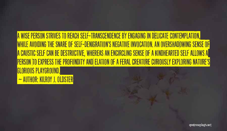 Kilroy J. Oldster Quotes: A Wise Person Strives To Reach Self-transcendence By Engaging In Delicate Contemplation, While Avoiding The Snare Of Self-denigration's Negative Invocation.