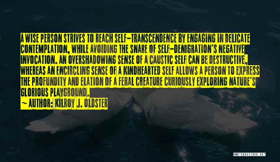 Kilroy J. Oldster Quotes: A Wise Person Strives To Reach Self-transcendence By Engaging In Delicate Contemplation, While Avoiding The Snare Of Self-denigration's Negative Invocation.