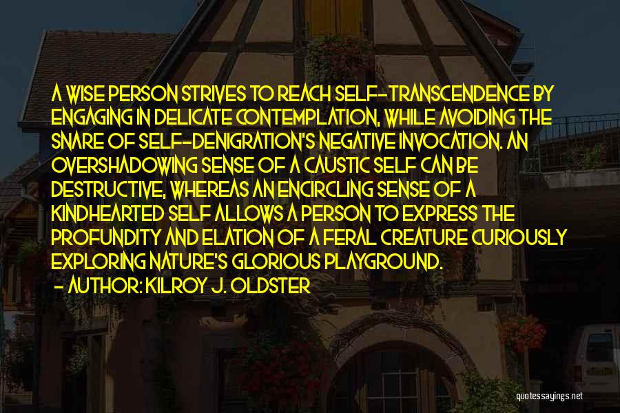 Kilroy J. Oldster Quotes: A Wise Person Strives To Reach Self-transcendence By Engaging In Delicate Contemplation, While Avoiding The Snare Of Self-denigration's Negative Invocation.