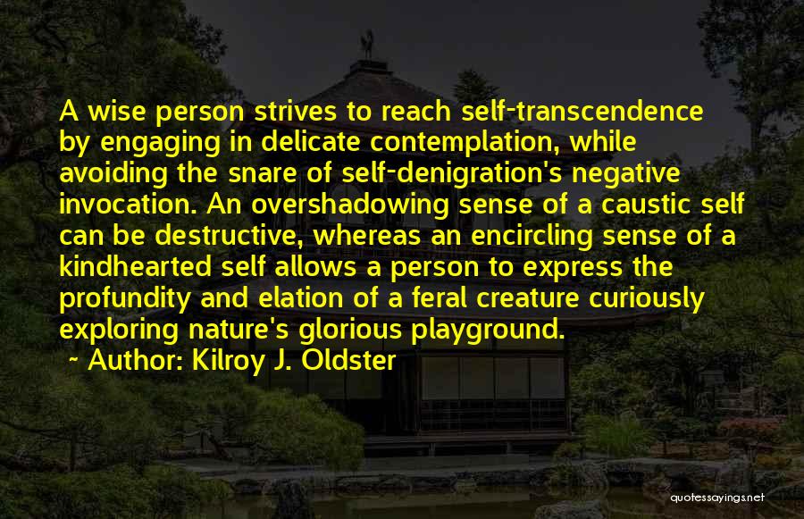 Kilroy J. Oldster Quotes: A Wise Person Strives To Reach Self-transcendence By Engaging In Delicate Contemplation, While Avoiding The Snare Of Self-denigration's Negative Invocation.