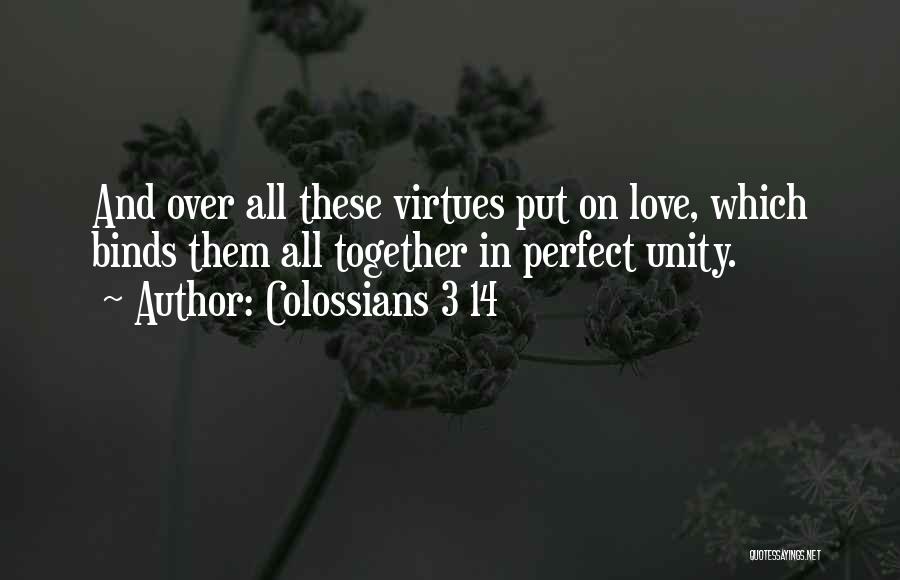 Colossians 3 14 Quotes: And Over All These Virtues Put On Love, Which Binds Them All Together In Perfect Unity.