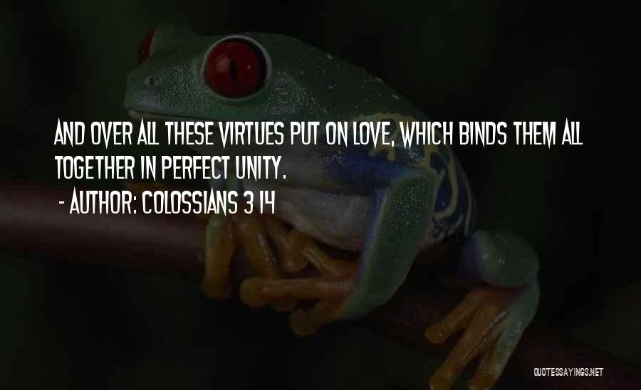 Colossians 3 14 Quotes: And Over All These Virtues Put On Love, Which Binds Them All Together In Perfect Unity.