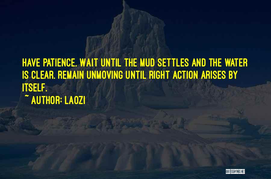 Laozi Quotes: Have Patience. Wait Until The Mud Settles And The Water Is Clear. Remain Unmoving Until Right Action Arises By Itself.