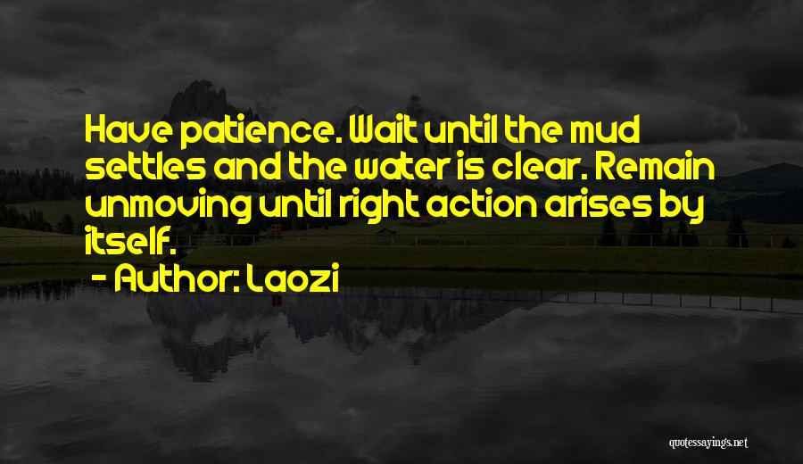 Laozi Quotes: Have Patience. Wait Until The Mud Settles And The Water Is Clear. Remain Unmoving Until Right Action Arises By Itself.