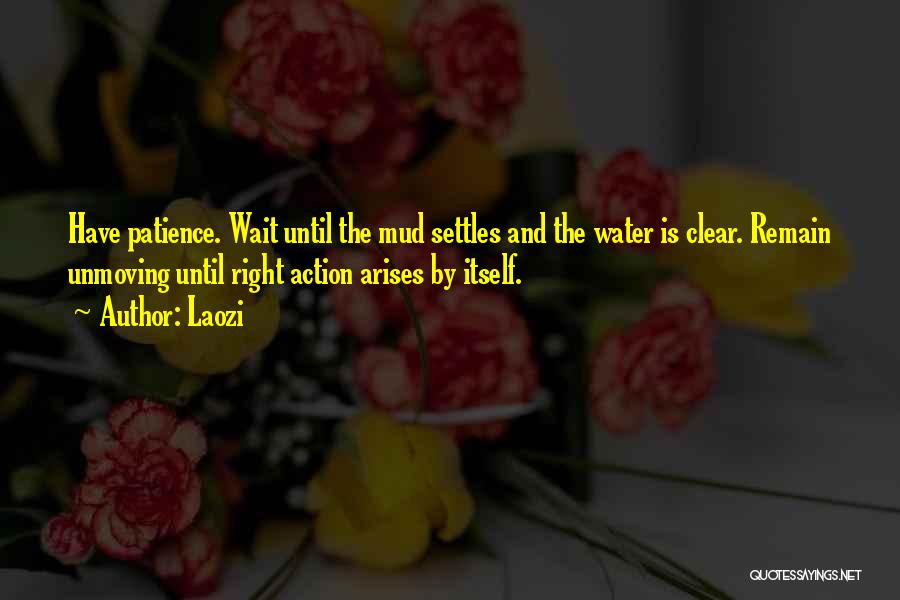 Laozi Quotes: Have Patience. Wait Until The Mud Settles And The Water Is Clear. Remain Unmoving Until Right Action Arises By Itself.