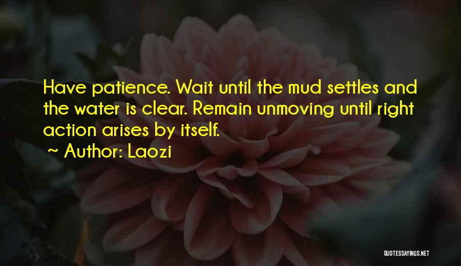 Laozi Quotes: Have Patience. Wait Until The Mud Settles And The Water Is Clear. Remain Unmoving Until Right Action Arises By Itself.