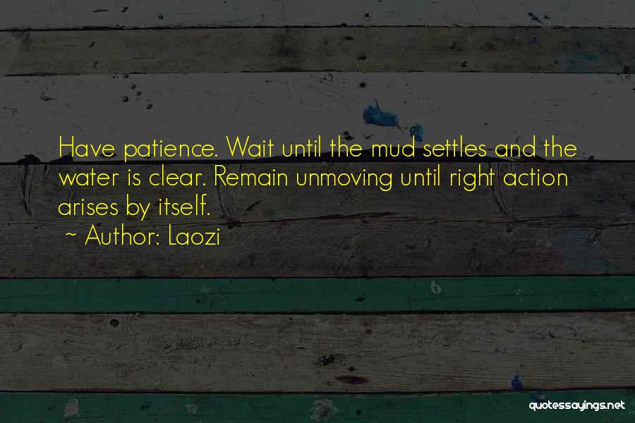Laozi Quotes: Have Patience. Wait Until The Mud Settles And The Water Is Clear. Remain Unmoving Until Right Action Arises By Itself.