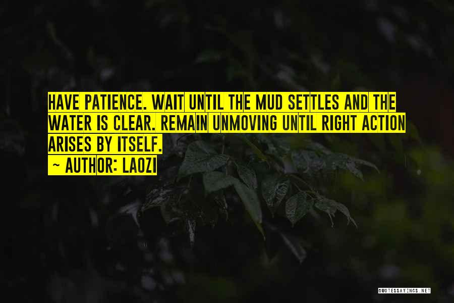 Laozi Quotes: Have Patience. Wait Until The Mud Settles And The Water Is Clear. Remain Unmoving Until Right Action Arises By Itself.
