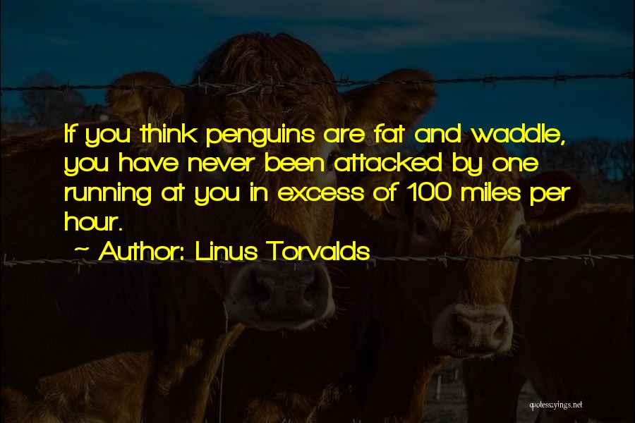 Linus Torvalds Quotes: If You Think Penguins Are Fat And Waddle, You Have Never Been Attacked By One Running At You In Excess