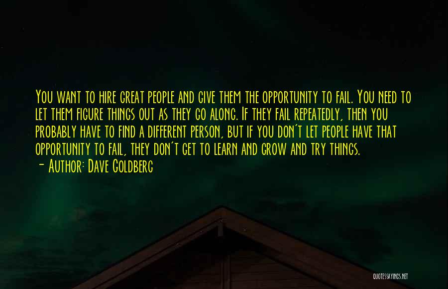 Dave Goldberg Quotes: You Want To Hire Great People And Give Them The Opportunity To Fail. You Need To Let Them Figure Things