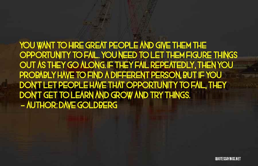 Dave Goldberg Quotes: You Want To Hire Great People And Give Them The Opportunity To Fail. You Need To Let Them Figure Things