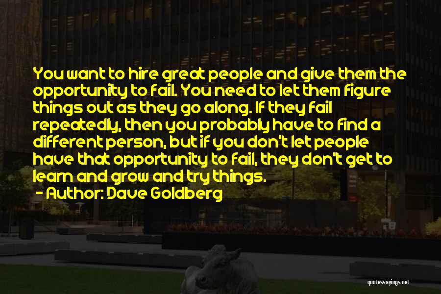 Dave Goldberg Quotes: You Want To Hire Great People And Give Them The Opportunity To Fail. You Need To Let Them Figure Things