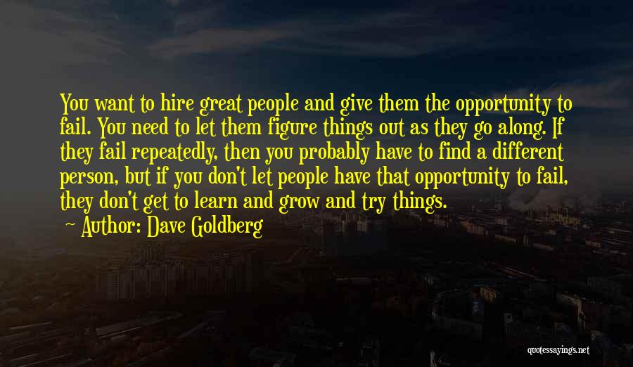 Dave Goldberg Quotes: You Want To Hire Great People And Give Them The Opportunity To Fail. You Need To Let Them Figure Things