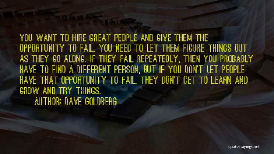 Dave Goldberg Quotes: You Want To Hire Great People And Give Them The Opportunity To Fail. You Need To Let Them Figure Things