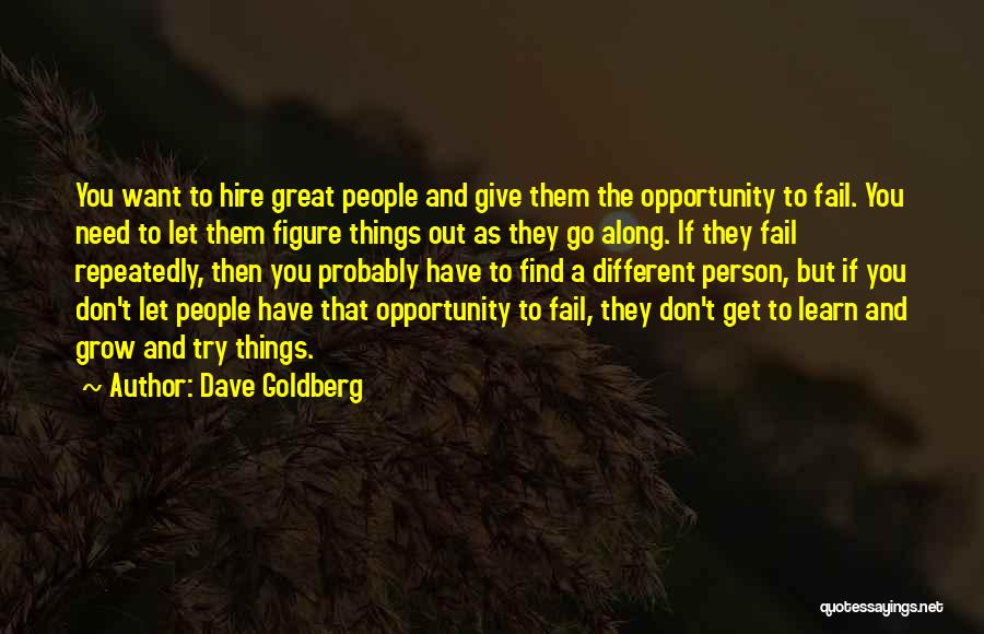 Dave Goldberg Quotes: You Want To Hire Great People And Give Them The Opportunity To Fail. You Need To Let Them Figure Things