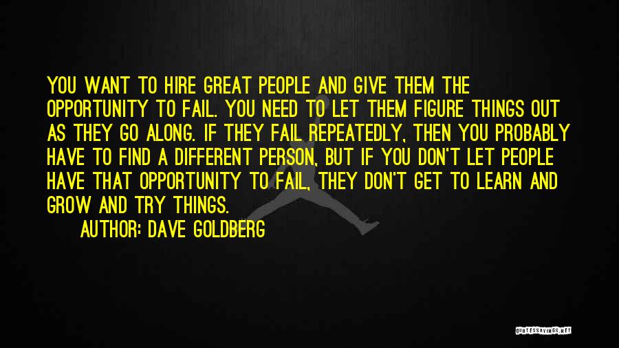 Dave Goldberg Quotes: You Want To Hire Great People And Give Them The Opportunity To Fail. You Need To Let Them Figure Things