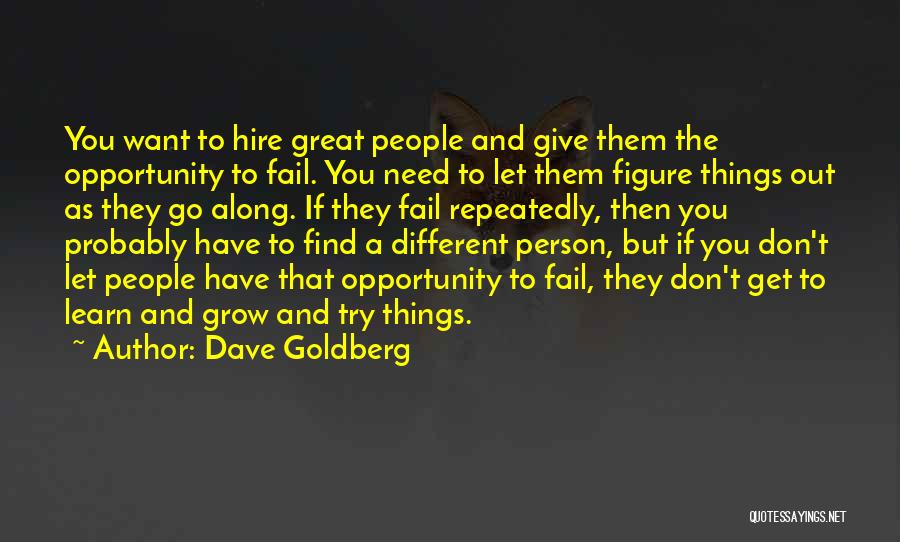 Dave Goldberg Quotes: You Want To Hire Great People And Give Them The Opportunity To Fail. You Need To Let Them Figure Things