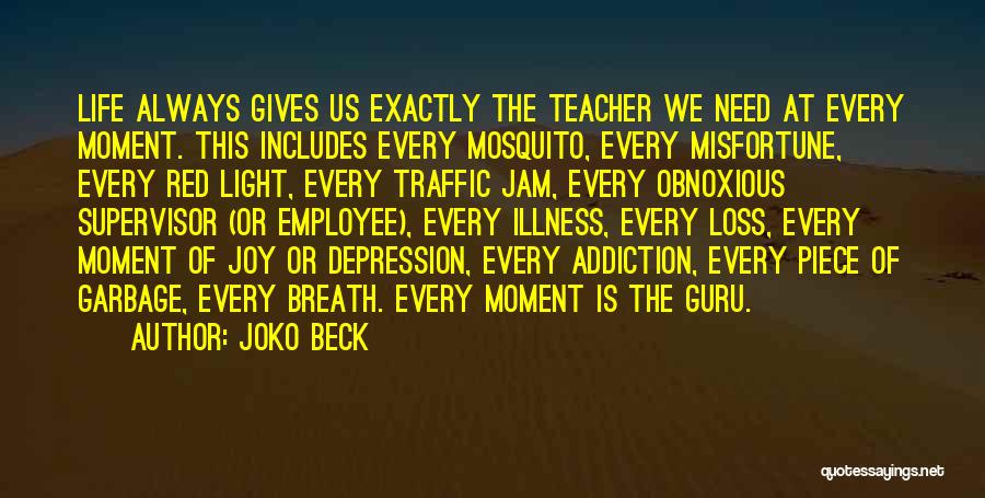 Joko Beck Quotes: Life Always Gives Us Exactly The Teacher We Need At Every Moment. This Includes Every Mosquito, Every Misfortune, Every Red