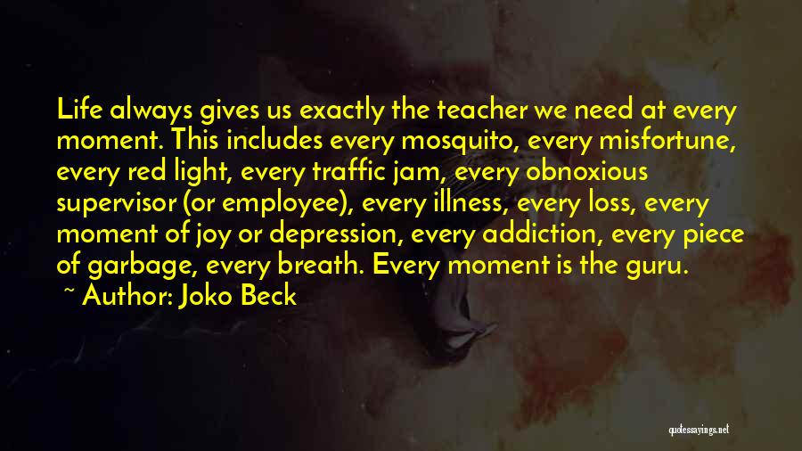 Joko Beck Quotes: Life Always Gives Us Exactly The Teacher We Need At Every Moment. This Includes Every Mosquito, Every Misfortune, Every Red