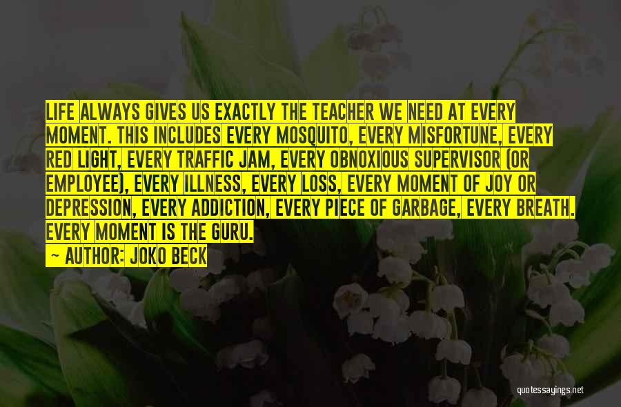 Joko Beck Quotes: Life Always Gives Us Exactly The Teacher We Need At Every Moment. This Includes Every Mosquito, Every Misfortune, Every Red