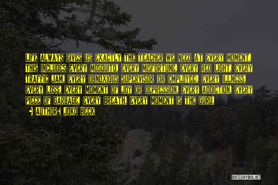 Joko Beck Quotes: Life Always Gives Us Exactly The Teacher We Need At Every Moment. This Includes Every Mosquito, Every Misfortune, Every Red