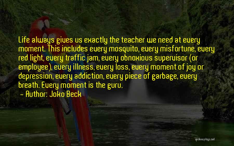 Joko Beck Quotes: Life Always Gives Us Exactly The Teacher We Need At Every Moment. This Includes Every Mosquito, Every Misfortune, Every Red