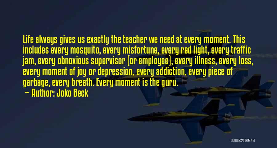 Joko Beck Quotes: Life Always Gives Us Exactly The Teacher We Need At Every Moment. This Includes Every Mosquito, Every Misfortune, Every Red