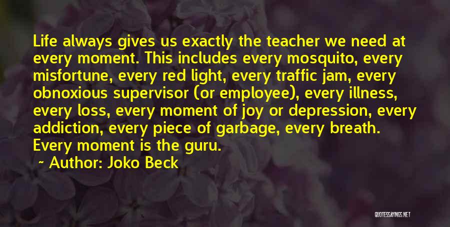 Joko Beck Quotes: Life Always Gives Us Exactly The Teacher We Need At Every Moment. This Includes Every Mosquito, Every Misfortune, Every Red