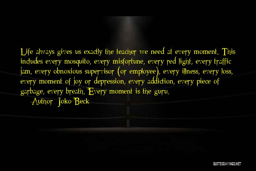 Joko Beck Quotes: Life Always Gives Us Exactly The Teacher We Need At Every Moment. This Includes Every Mosquito, Every Misfortune, Every Red