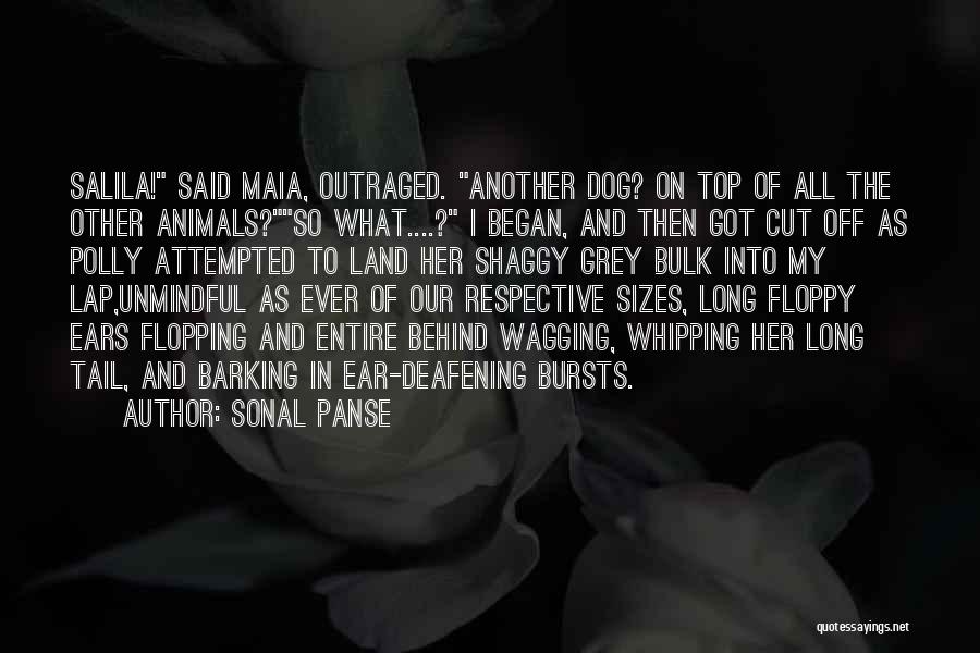 Sonal Panse Quotes: Salila! Said Maia, Outraged. Another Dog? On Top Of All The Other Animals?so What....? I Began, And Then Got Cut