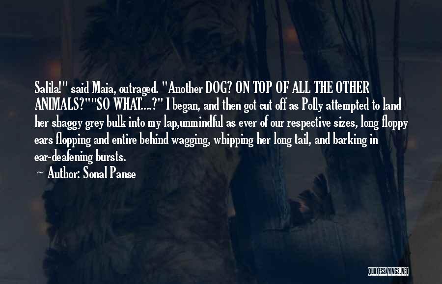 Sonal Panse Quotes: Salila! Said Maia, Outraged. Another Dog? On Top Of All The Other Animals?so What....? I Began, And Then Got Cut