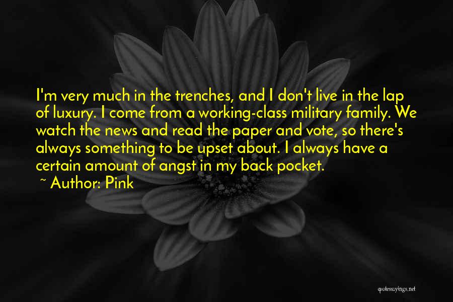 Pink Quotes: I'm Very Much In The Trenches, And I Don't Live In The Lap Of Luxury. I Come From A Working-class