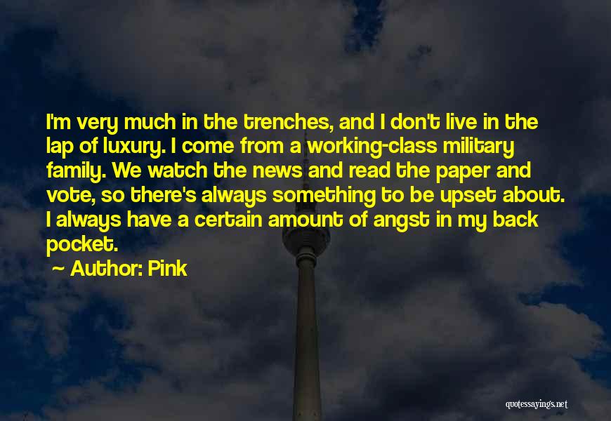 Pink Quotes: I'm Very Much In The Trenches, And I Don't Live In The Lap Of Luxury. I Come From A Working-class