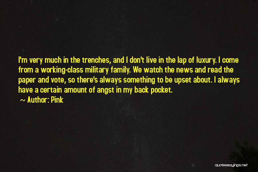 Pink Quotes: I'm Very Much In The Trenches, And I Don't Live In The Lap Of Luxury. I Come From A Working-class