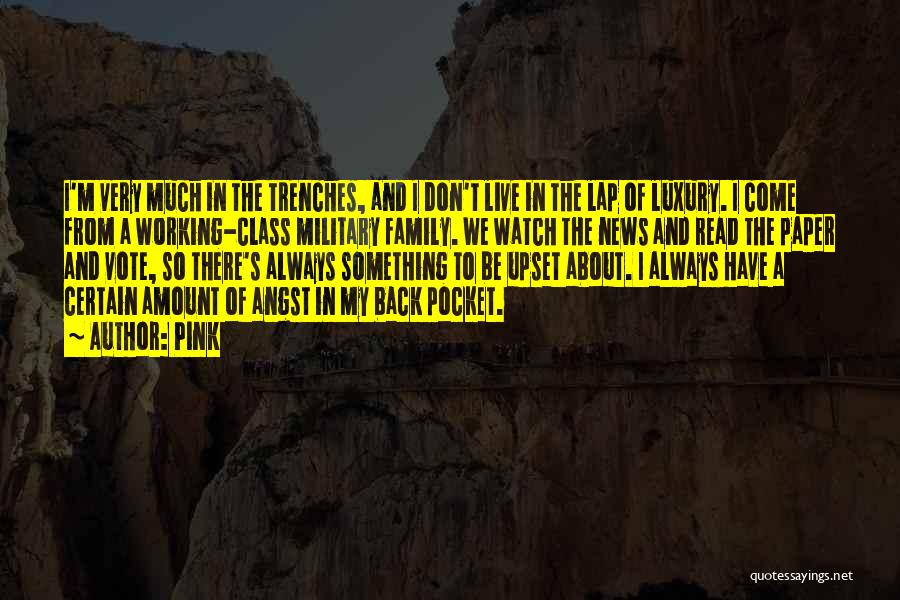 Pink Quotes: I'm Very Much In The Trenches, And I Don't Live In The Lap Of Luxury. I Come From A Working-class