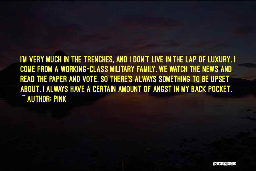 Pink Quotes: I'm Very Much In The Trenches, And I Don't Live In The Lap Of Luxury. I Come From A Working-class