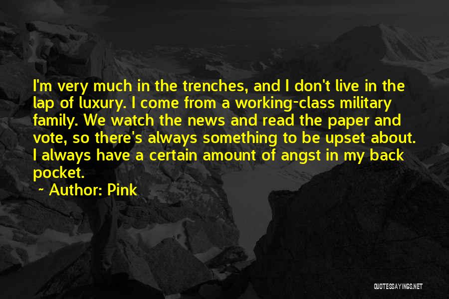 Pink Quotes: I'm Very Much In The Trenches, And I Don't Live In The Lap Of Luxury. I Come From A Working-class