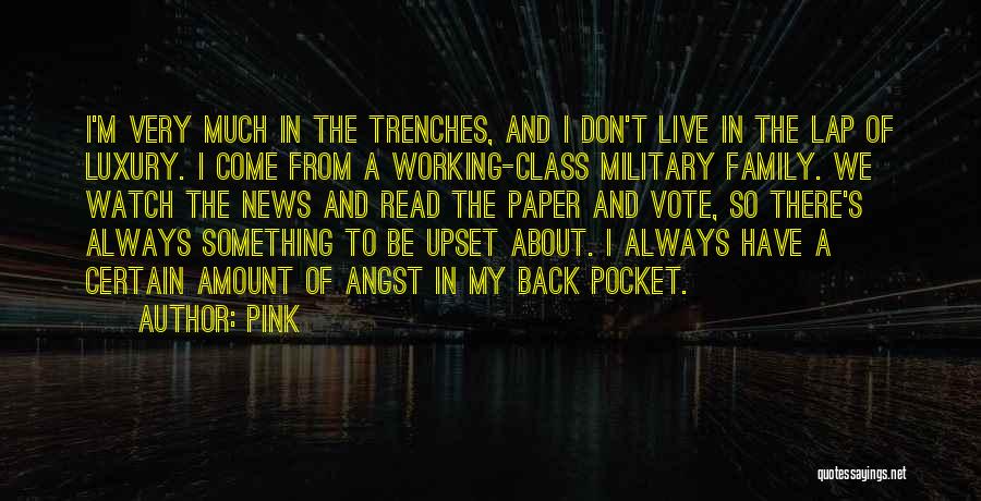 Pink Quotes: I'm Very Much In The Trenches, And I Don't Live In The Lap Of Luxury. I Come From A Working-class